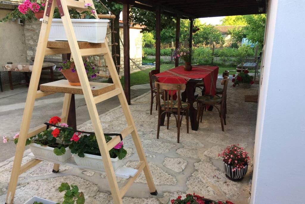 Guest House Kostadinovi Bŭlgarevo Extérieur photo