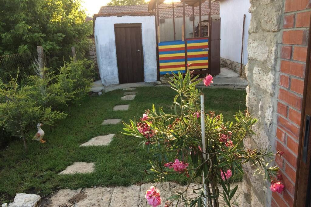Guest House Kostadinovi Bŭlgarevo Extérieur photo
